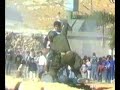 Brave Palestinian Boy