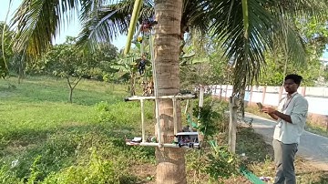 tree climbing robot