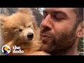 16-Year-Old Dog Steals Her Foster Dad's Heart | Ruff Life With Lee Asher