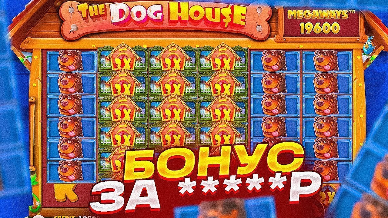 Dog house megaways догхаус