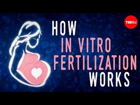 ഇൻ വിട്രോ ഫെർട്ടിലൈസേഷൻ (IVF) എങ്ങനെ പ്രവർത്തിക്കുന്നു - നാസിം അസെഫിയും ബ്രയാൻ എ. ലെവിനും