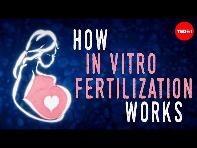 How in vitro fertilization (IVF) works - Nassim Assefi and Brian A. Levine class=