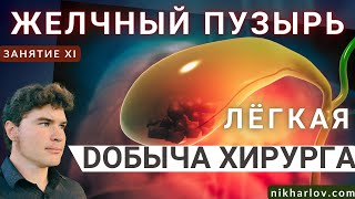 Печень и желчный пузырь. Желчь и функции желчи. Как образуются желчные камни при похудении.