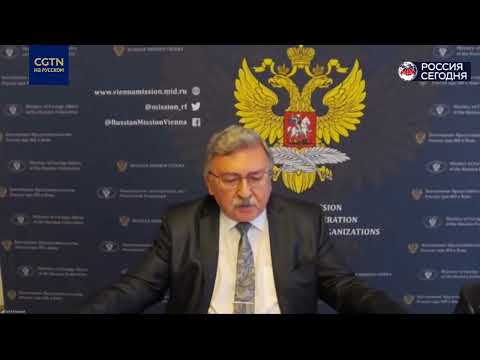 Постпред РФ: Украина не хочет миссии МАГАТЭ на Запорожской АЭС