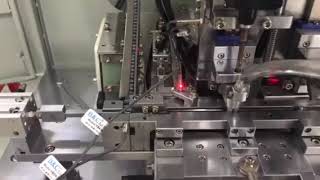 Terminal Screw Driving Assembly Machine 1