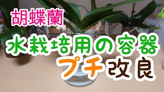 胡蝶蘭水栽培用の容器４点を改良