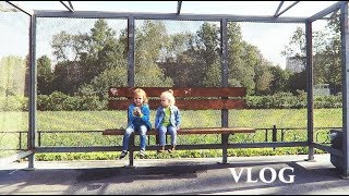 vlog букет лаврушки, садик, кнопка ютуб - Senya Miro vlog букет лаврушки, садик, кнопка ютуб - Senya Miro