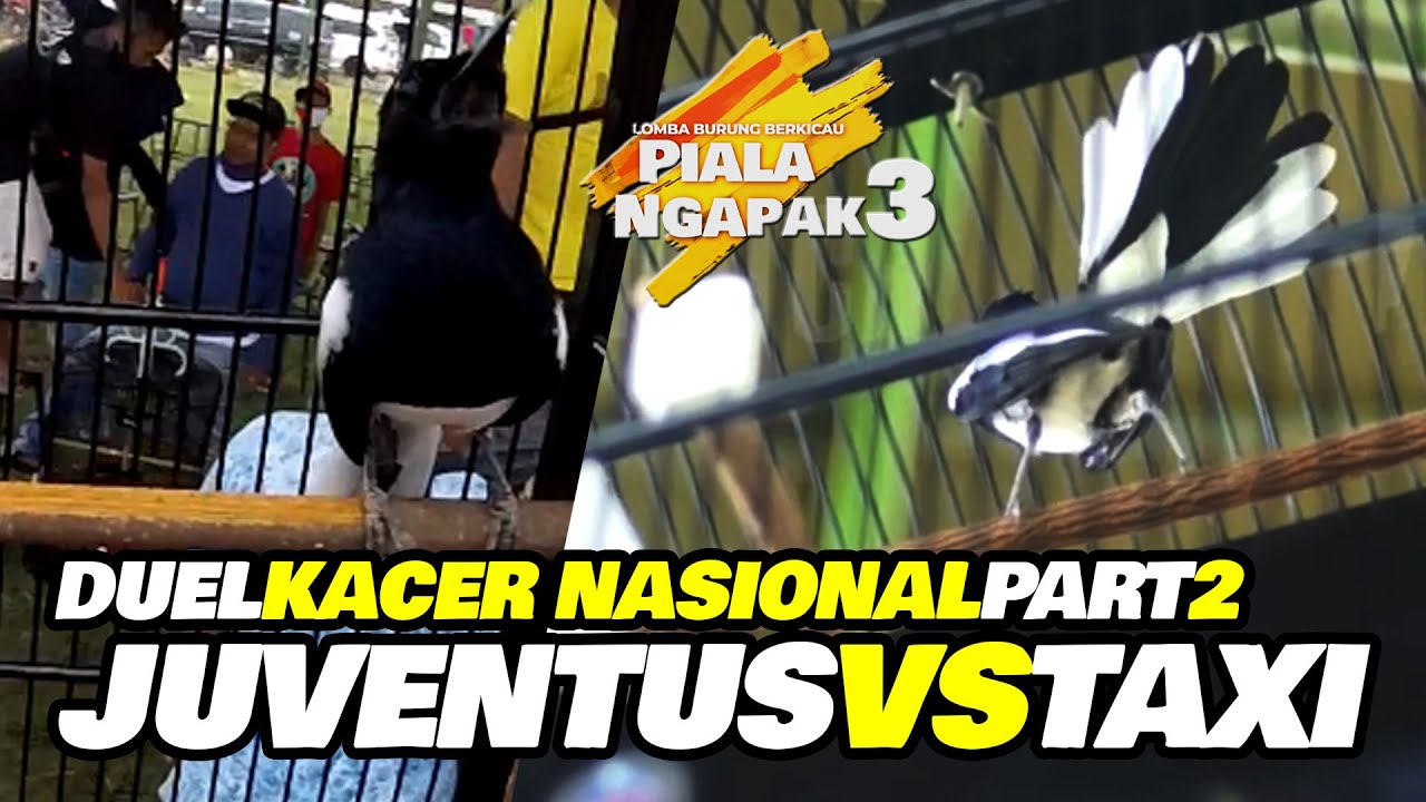 PIALA NGAPAK 3 | TAXI vs JUVENTUS Kelas Kacer Tiket Sejuta SEPI PEMINATNYA !