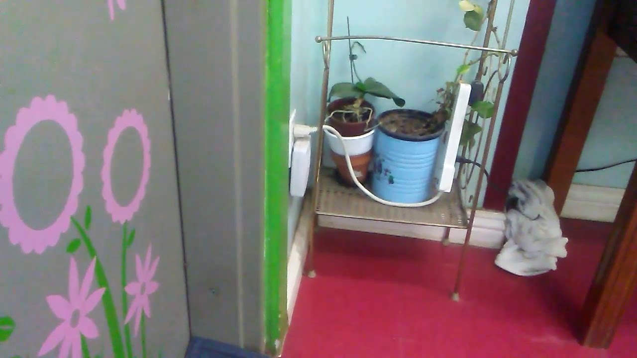 Westminster Chime Doorbell YouTube