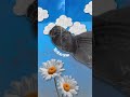 The Reality of Being a Creator