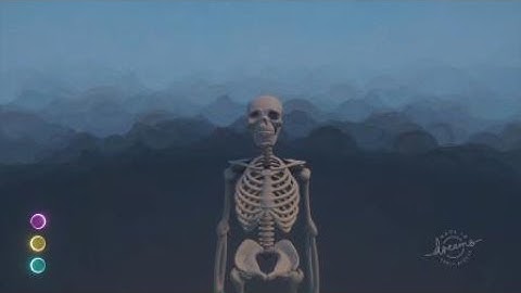 Skeleton Test 1 Dreams™