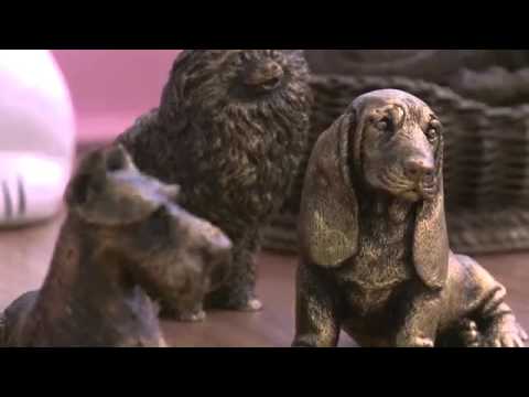 PET-TV 01 COMPLETO 