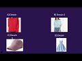 ( French Listening Practice Test) La compréhension orale ( TEF CANADA)