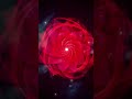 Crimson Lotus Vortex | Progressive Psytrance Visualizer 140 BPM