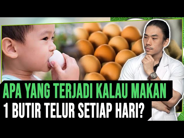 Apa yang Terjadi Kalau Kamu Makan Telur 1 Butir Setiap Hari? class=