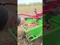 Посадка картофеля. Картофелесажалка и МТЗ. #мотоблок #агротехнологии #farming