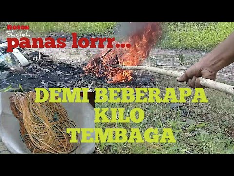 CARA BAKAR KABEL TEMBAGA ROSOK biar gak hancur(usaha rosok)