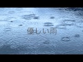 優しい雨