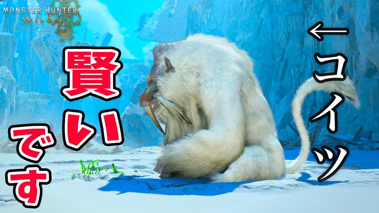 【ワイルズ】ドドブランゴの知性と仲間との絆【4K映像】