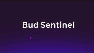 Bud Sentinel : AI Guardrails on CPU That Outperform SOTA models running on A100 GPUs