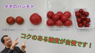 匠の技術《イチゴトマト》の味覚を求めて！酸味と甘みのバランスが最高品質です。