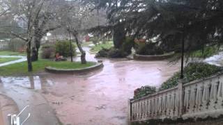 Negreira Video