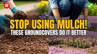 7 Groundcovers That Replace Mulch Naturally and Look Even Better!