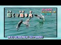 なみだの港   田川寿美  字義版