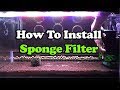 Caridina Shrimp Tank Part 2 -  Install Sponge Filter