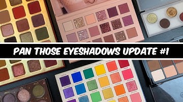 Pan Those Eyeshadows UPDATE #1 | ANY PANS?