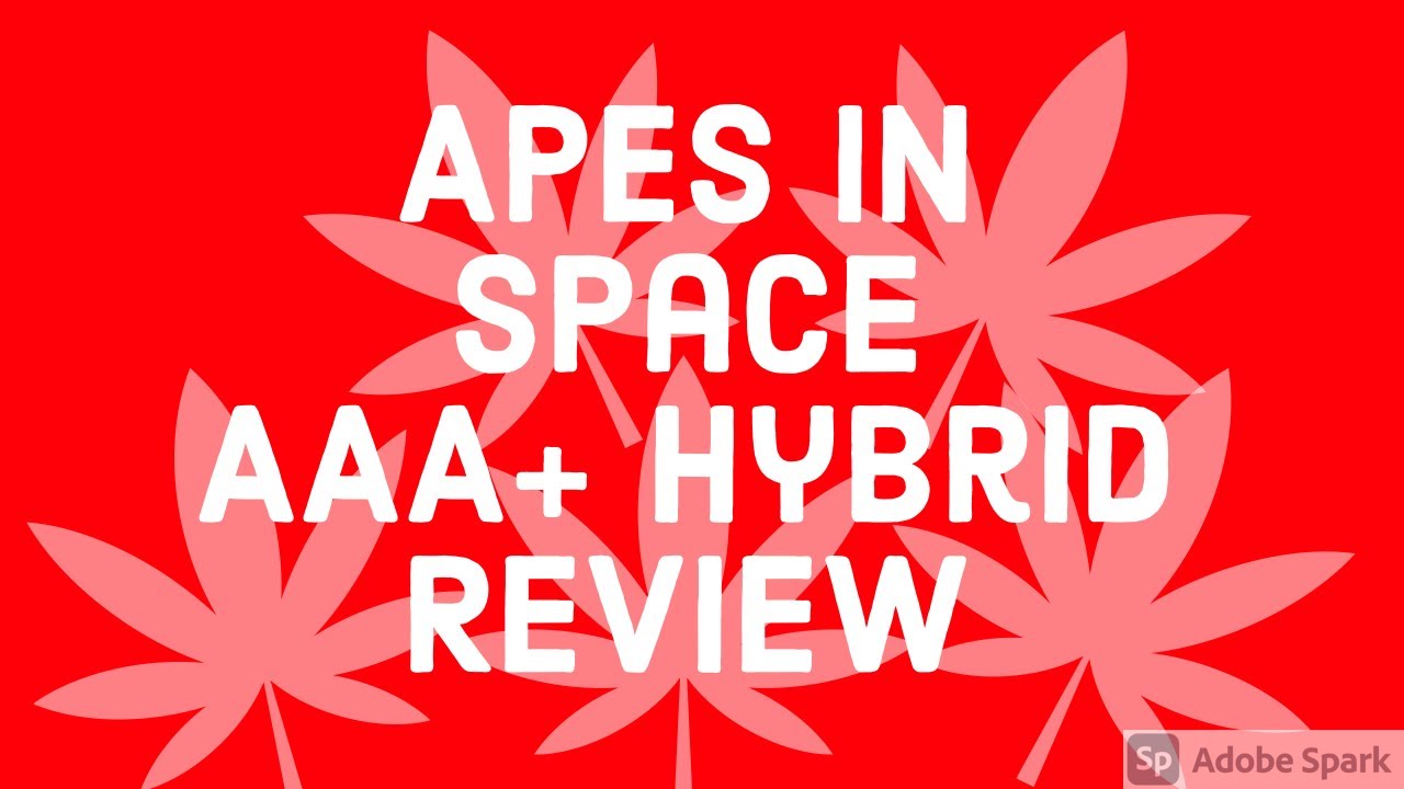 Strain Review: Apes in space (AAA+ Hybrid)