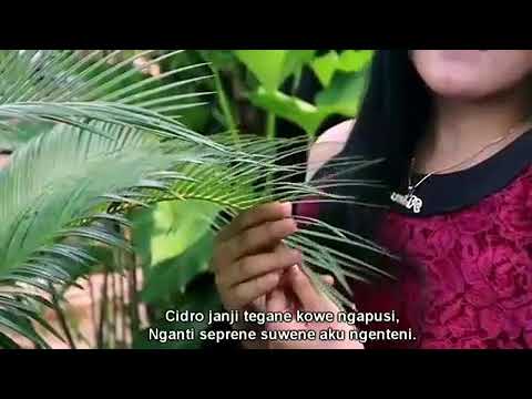 #KarolG mozaïekkunst van @kevinchampeny1661 🎶