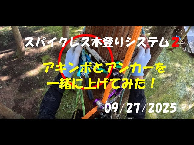 スパイクレス木登りシステムⅡ手持ち位置変更：大源太農園220250927