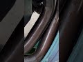 Por que óleo da sua moto fica preto rápido 🤯