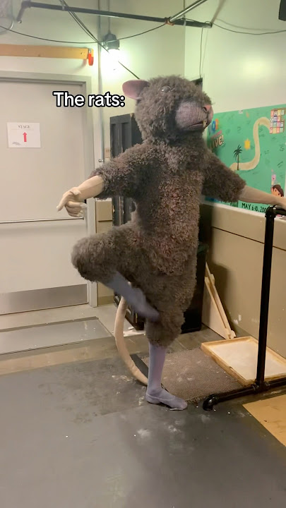 The real stars of the show🐀😏 #ballet #balletdancer #backstage #nutcracker