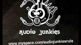Download Lagu Audio Junkies - Something 4 your mind - original mix MP3