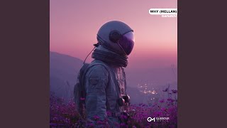 Why (Mellan) - GAFAROV