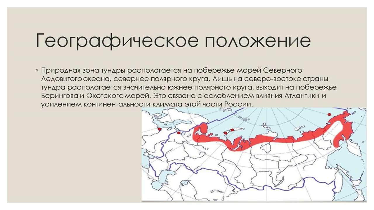 Природная зона тундра 6 класс география. Географическое положение зоны тундры в России. Географическое положение зоны тундры. Зона тундры в России. Природная зона тундра географическое положение.