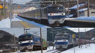 【貨物列車】白い雪とEF210桃太郎 東海道線 柏原駅(米原市 中山道柏原宿)