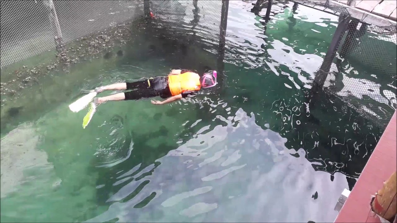 Semporna Sabah Bum Bum Island UTM @ ND Divers