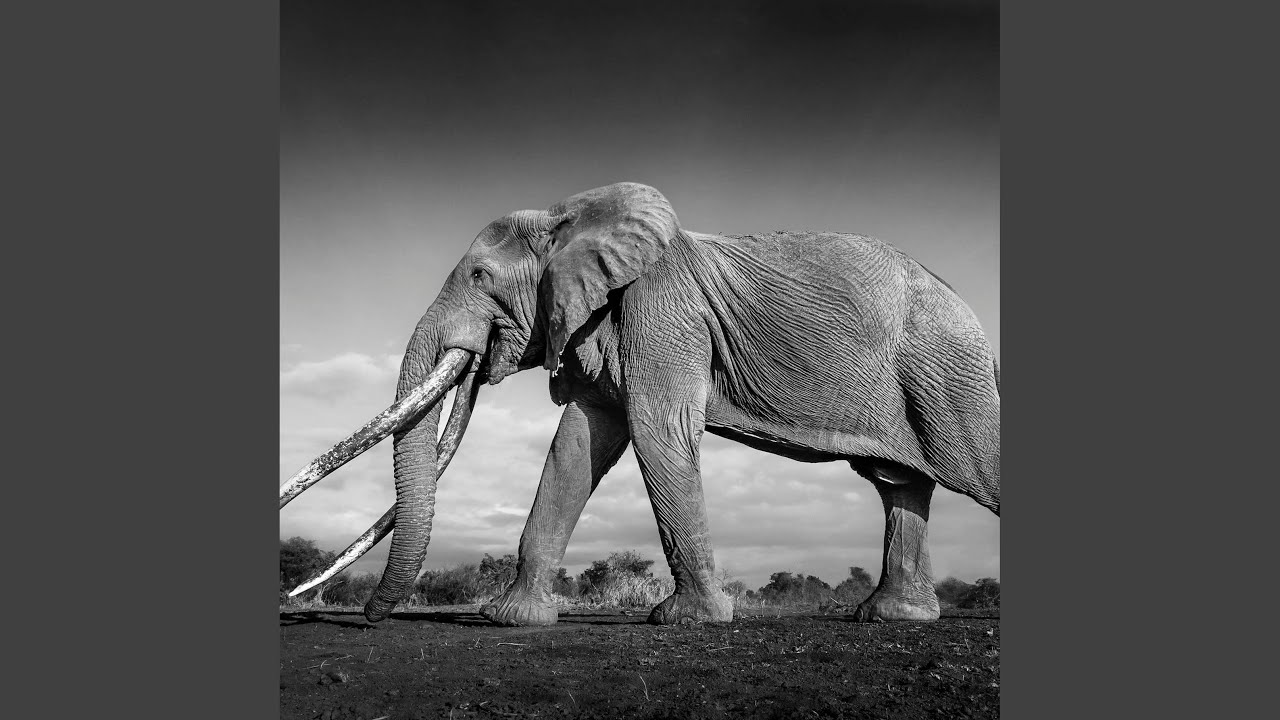 Crisco Days Long Gone