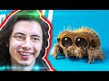 DÜNYANIN EN KOMİK ve SEVİMLİ ANİMASYONU (Lucas the Spider)