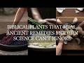 Biblical Plants That Heal: 20 Ancient Remedies Modern Science Can’t Ignore