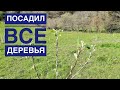 # 198 Посадил Все Деревья. Обзор Сада. Земля В Испании. Купил Земельный Участок. Испания