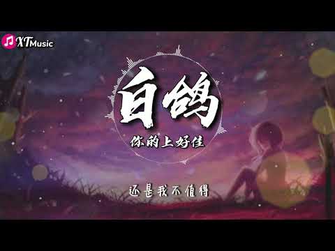 【你的上好佳-白鸽】♫『教堂的白鸽不会亲吻乌鸦 就像我配不上星空下的他』【动态歌词Lyrics】