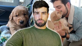 Five of The Puppies Are In The Hospital….| Episode 18