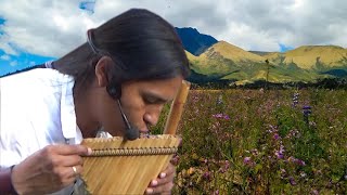 Красивая, волшебная музыка, уносящая в мир, где нет проблем.Sacral nirvana\\ cover ~Ecuador Spirit