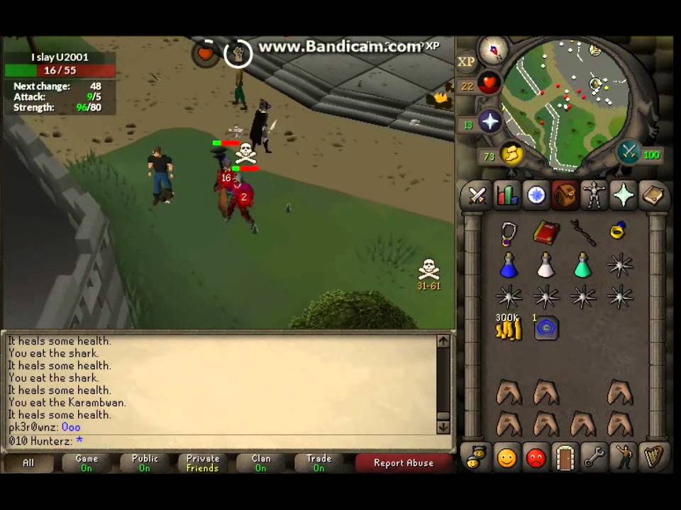 010 Hunterz obby pure pking 2007 #1