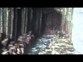 Inside Fingal's cave
