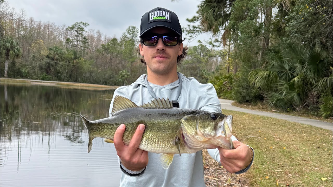 FULL DAY of Bass fishing! Searching Tampa Ponds for BIG BASS!